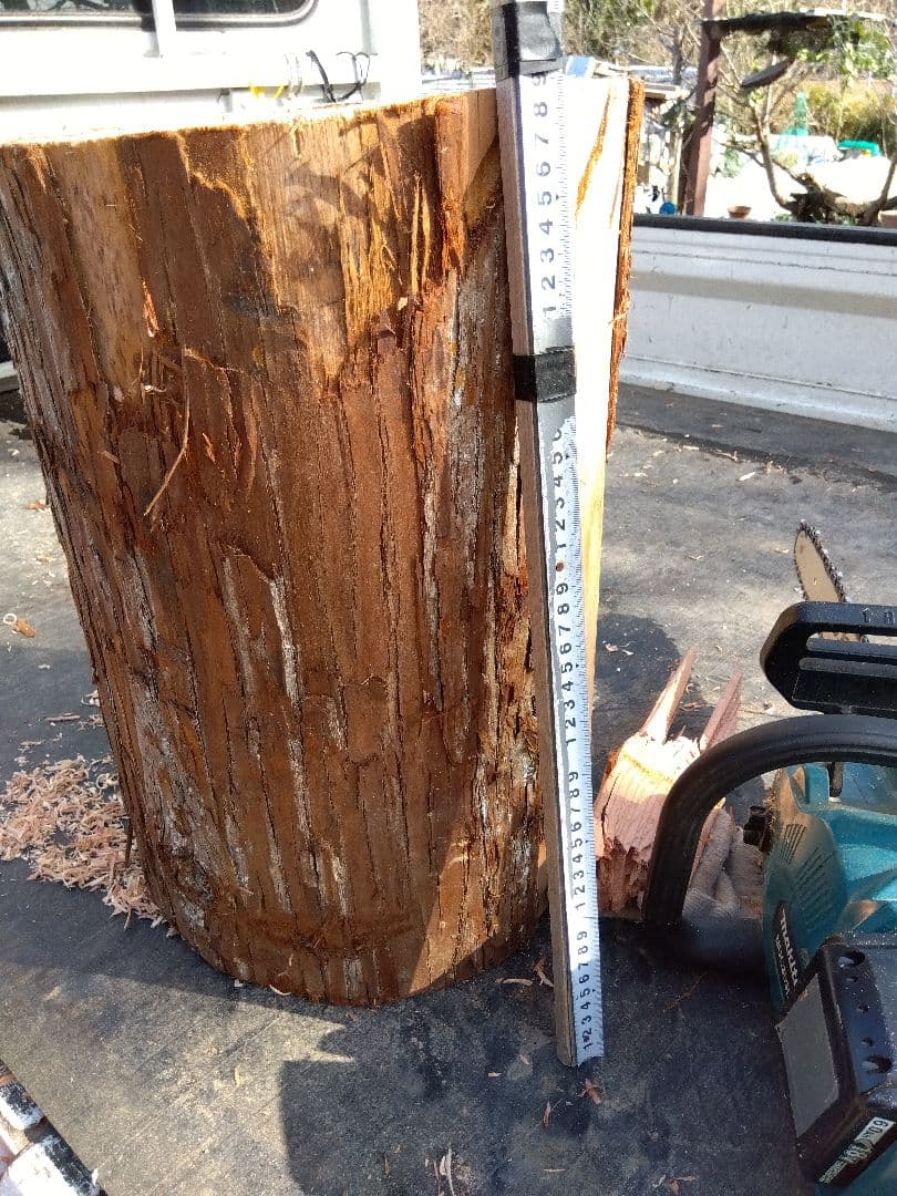 みつばち飼育箱、昆虫飼育用 中空洞木材 杉材 樹洞 くり抜き 丸洞 丸太