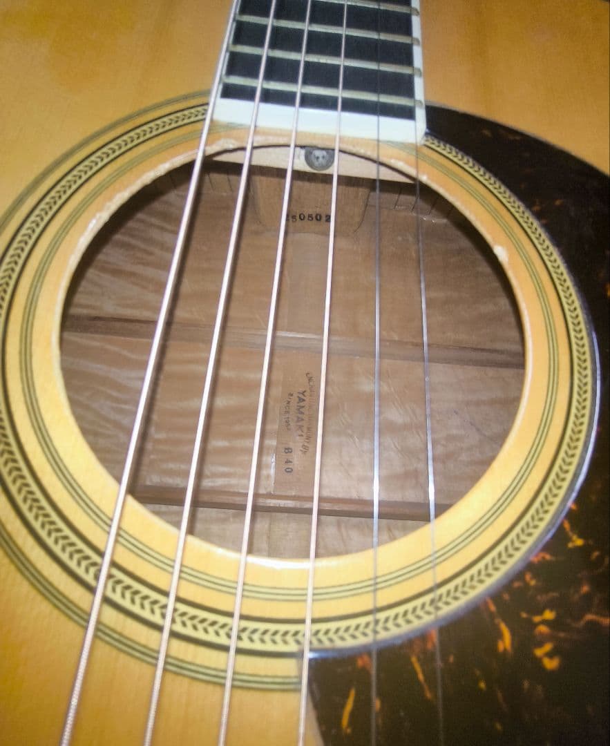 希少【YAMAKI】B-40 アコギ メイプル バッファローヘッド 手渡し可