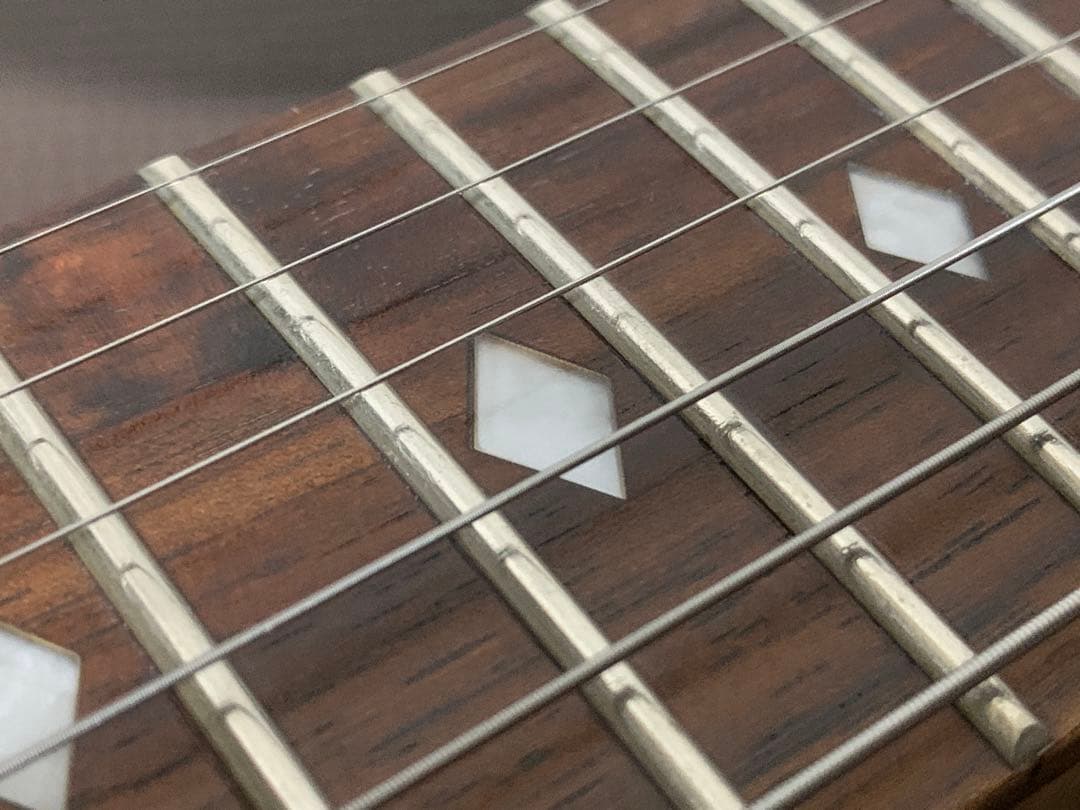 Chatting Bird Mockingbird モッキンバード hide