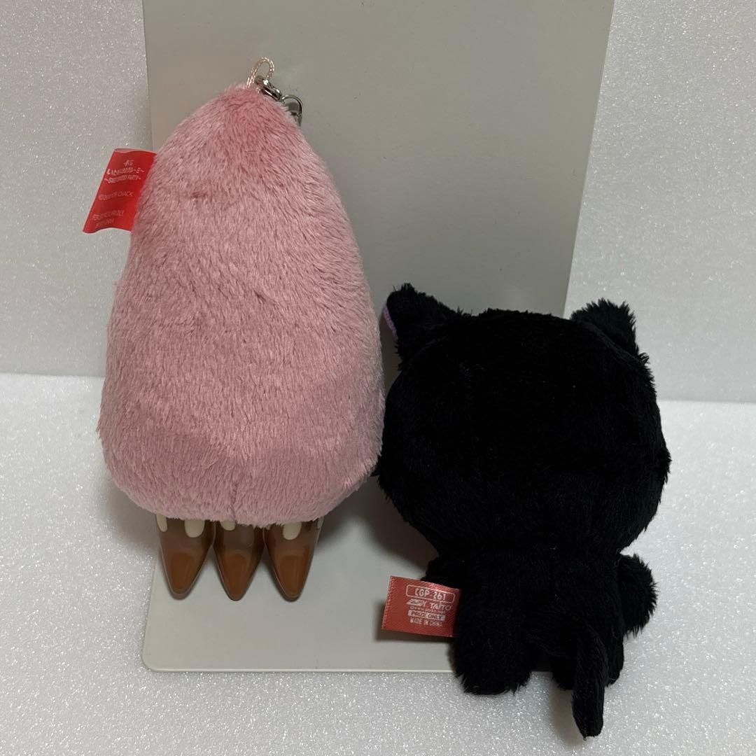 いたずらぐまのグルーミー　まとめセット