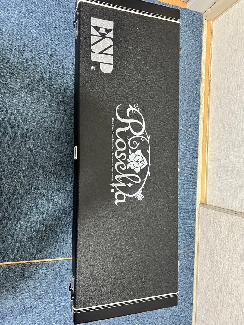 ESP M-II ROSELIA SAYO ギター2018年3月購入　氷川紗夜