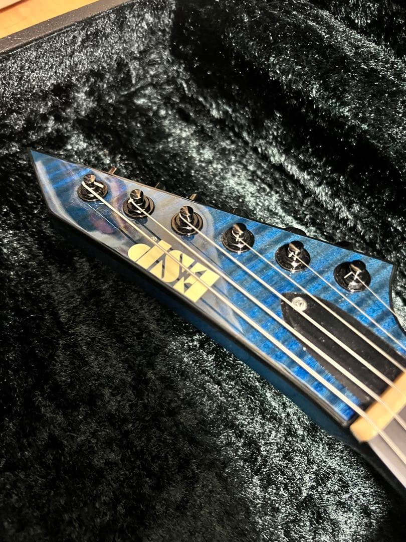 ESP M-II ROSELIA SAYO ギター2018年3月購入　氷川紗夜