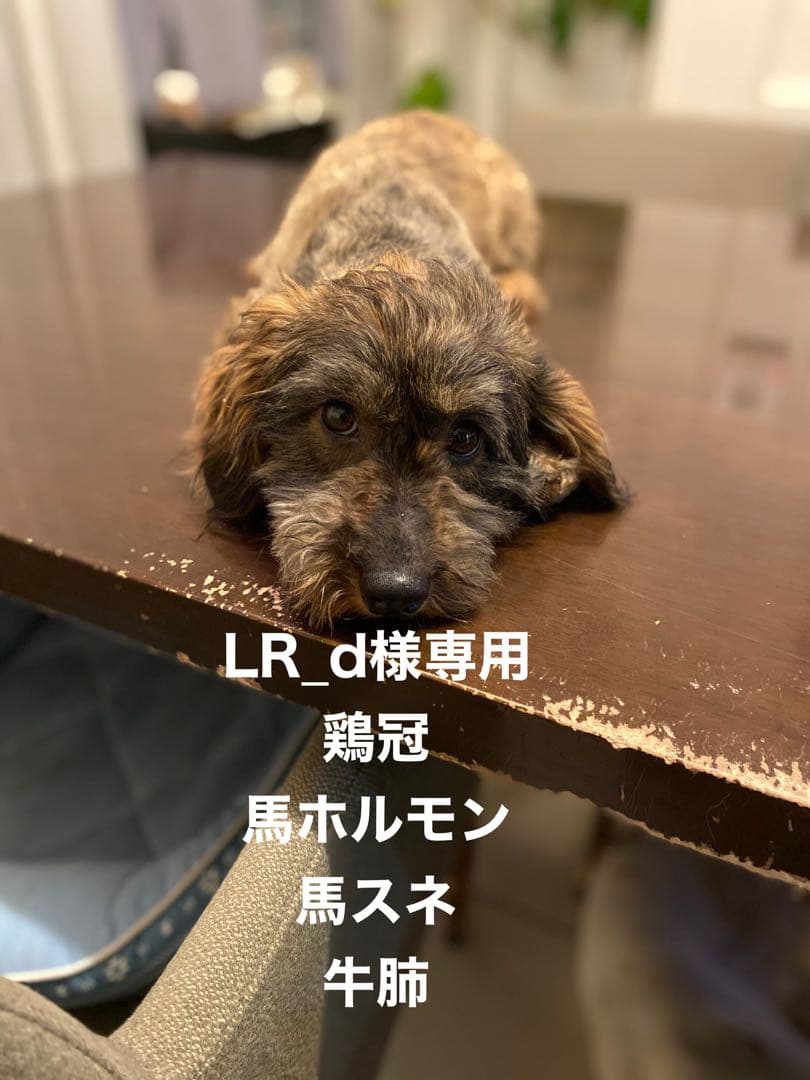 LR_d　鶏冠　牛肺