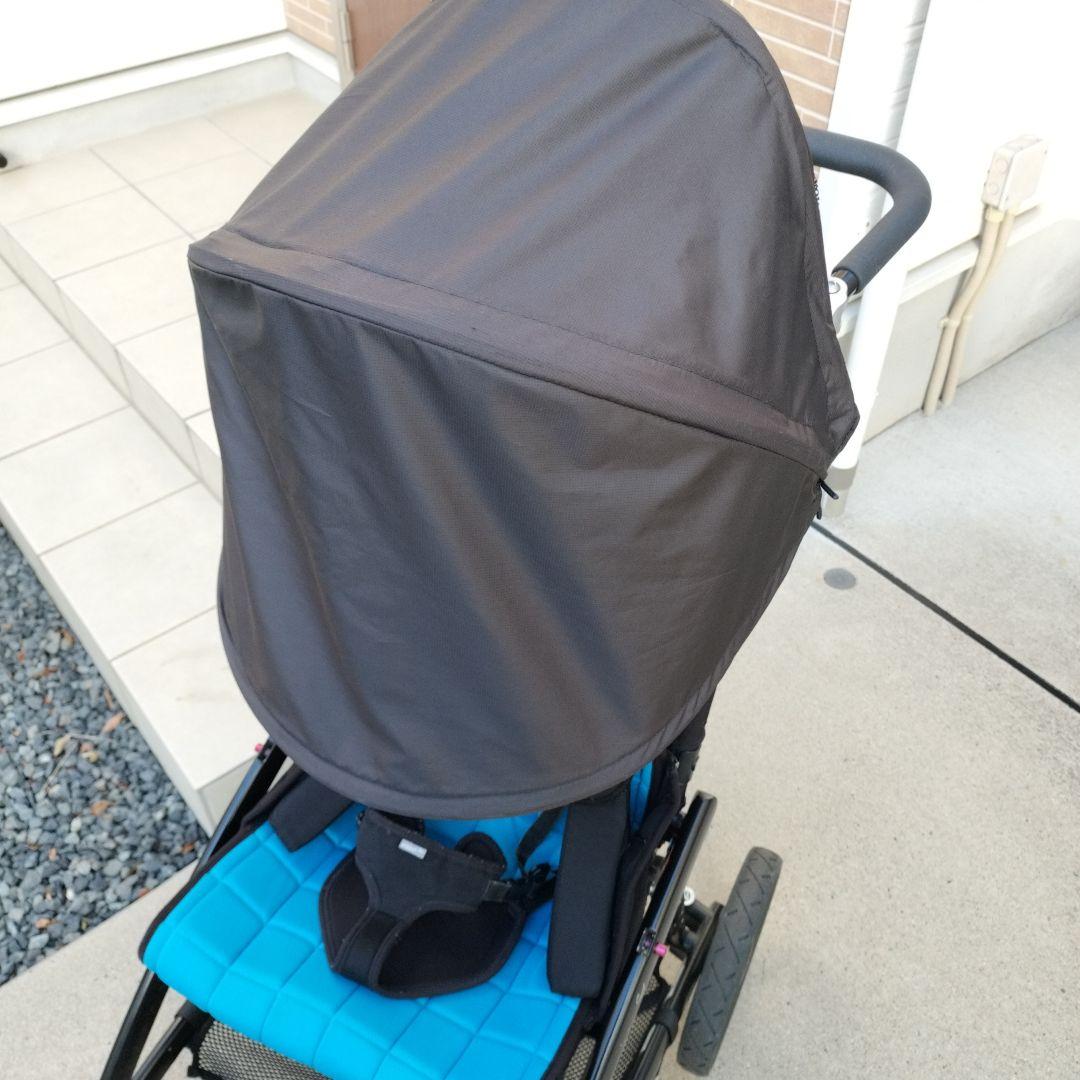 クリケットバギーサイズ2