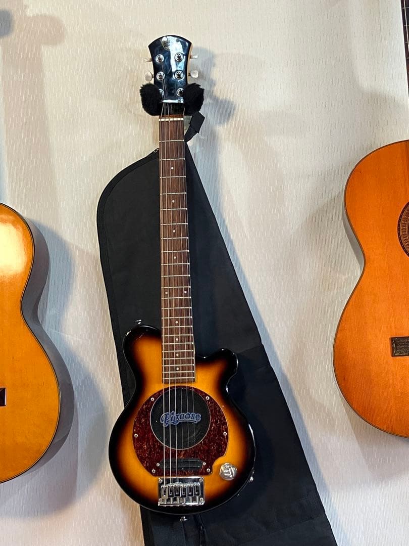 スピーカー音出し確認済み！初心者用ピグノーズ持ち運びに便利！ソフトケース付き