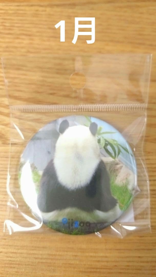 タンタン　缶バッジ　9個セット