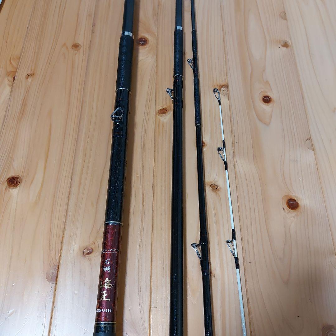 ダイコーフルフィールド石鯛海王