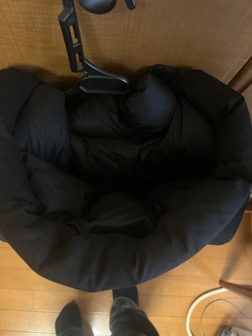 THE NORTH FACE バルトロ