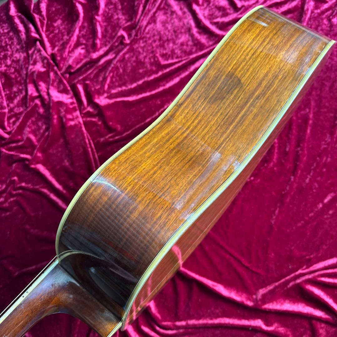 激鳴 TF MORRIS SPECIAL W-50 単板アコースティックギター