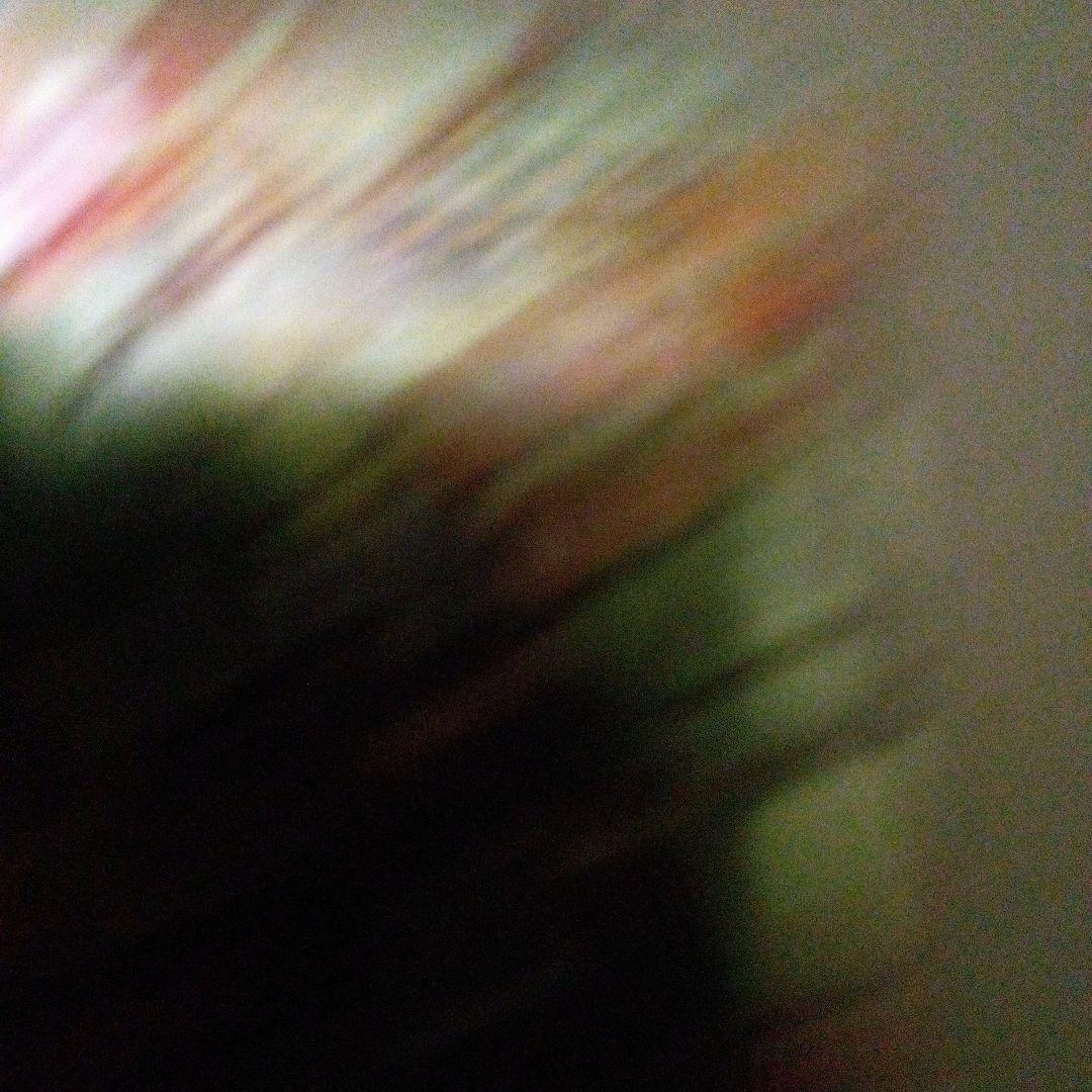 ムシキングカード アクティオンゾウカブト