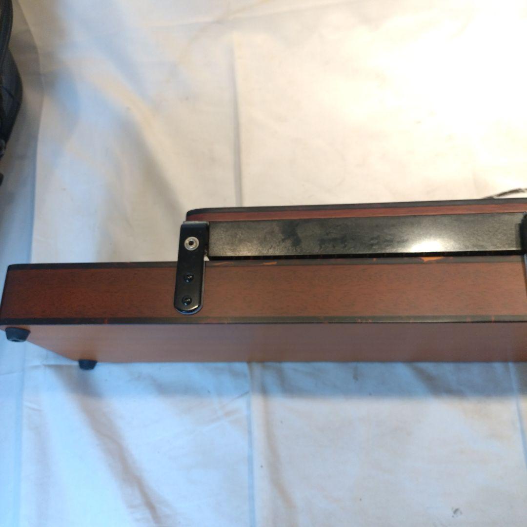 ライリッシュ 大正琴 LSS75