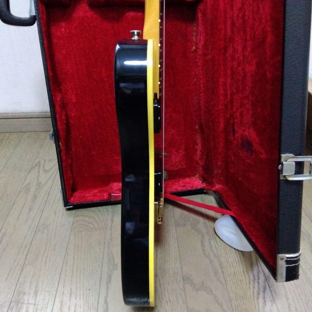 ムーン moon PGM テレキャスター　EMGハムバッキング　ワンオーナー