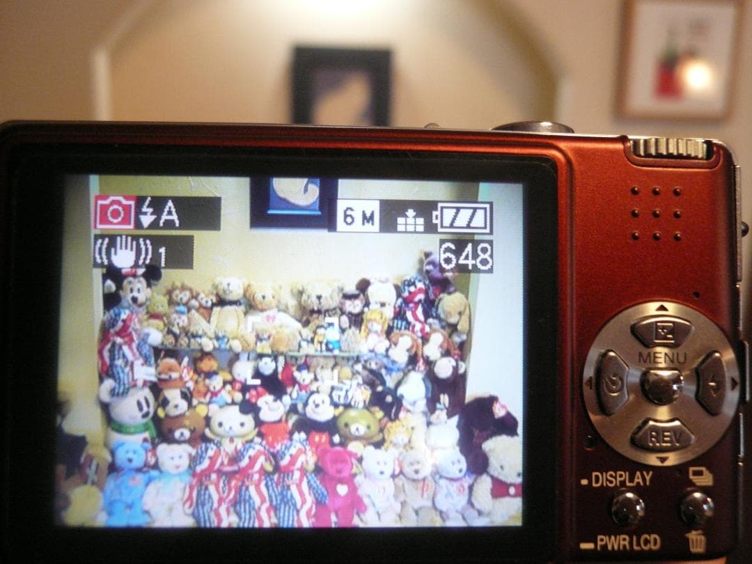 LUMIX★DMC-FX9⭕️箱入完品⭐️極美品⭕️安心の実働品★えんじ色