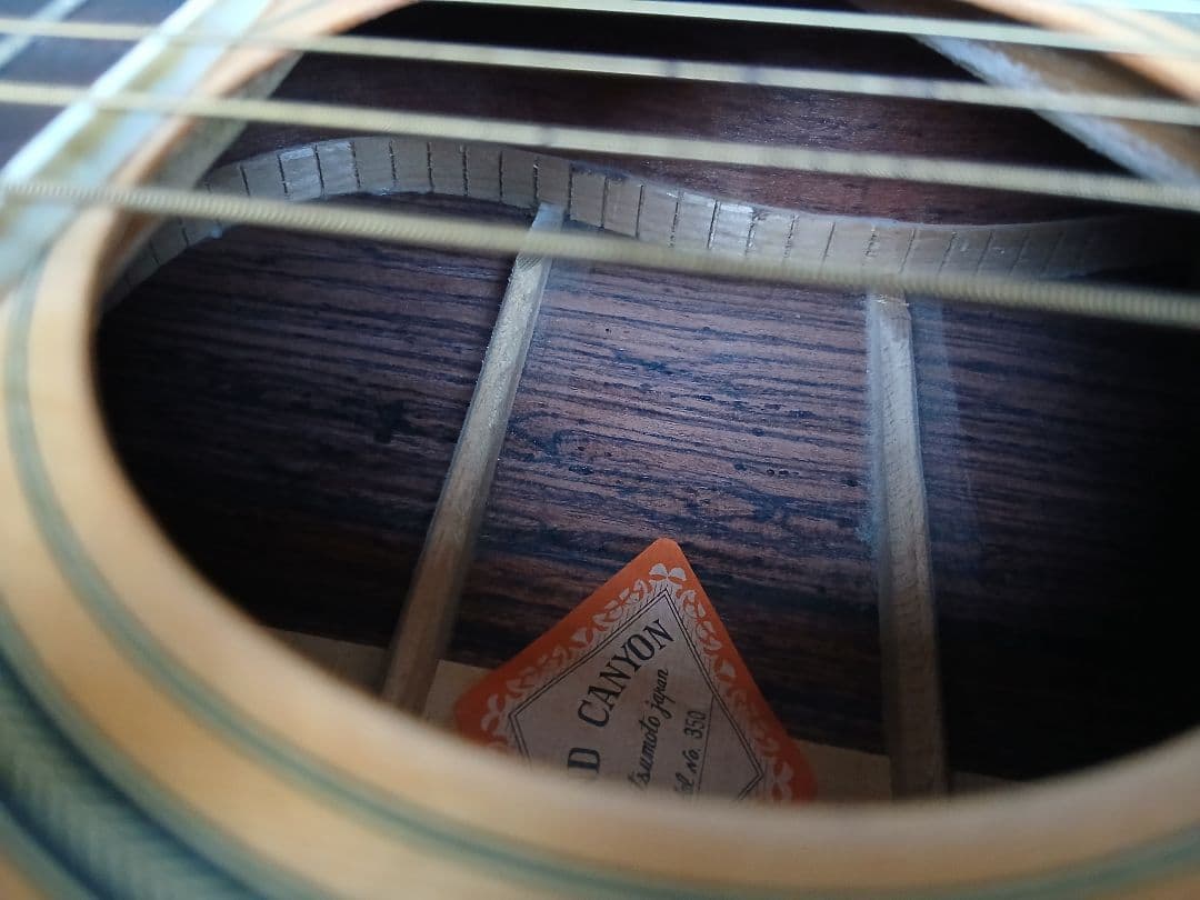 GRAND CANYON No.350( HC付き)