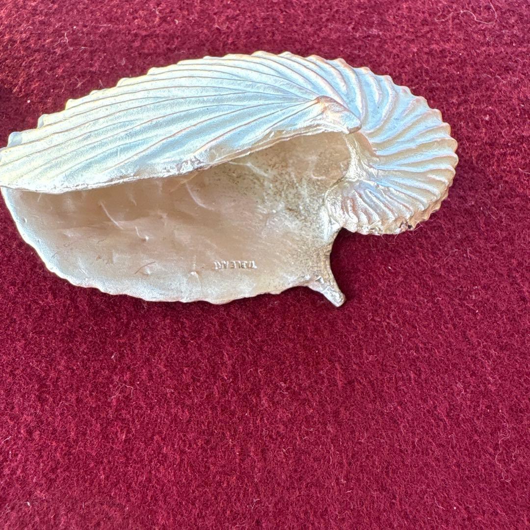 アトリエジュンコ シェル型カードスタンド 4個セット