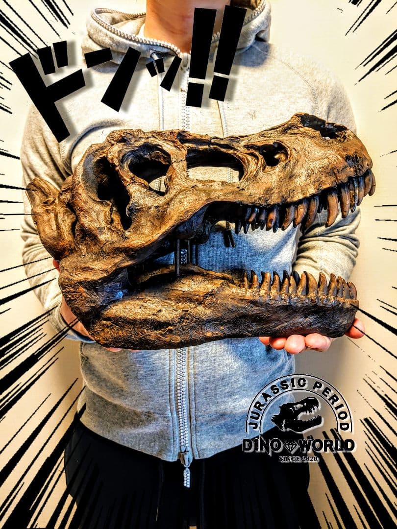 【お得なセット】ティラノサウルス トリケラトプス インテリア雑貨