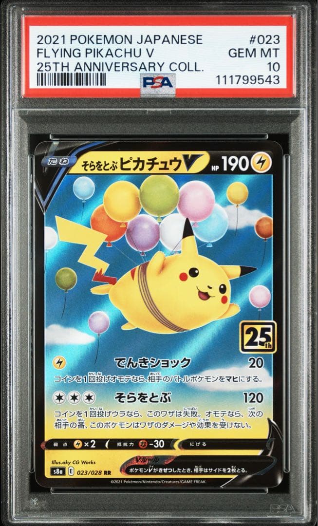 【2連番PSA10】そらをとぶピカチュウV VMAX RR RRR 25th