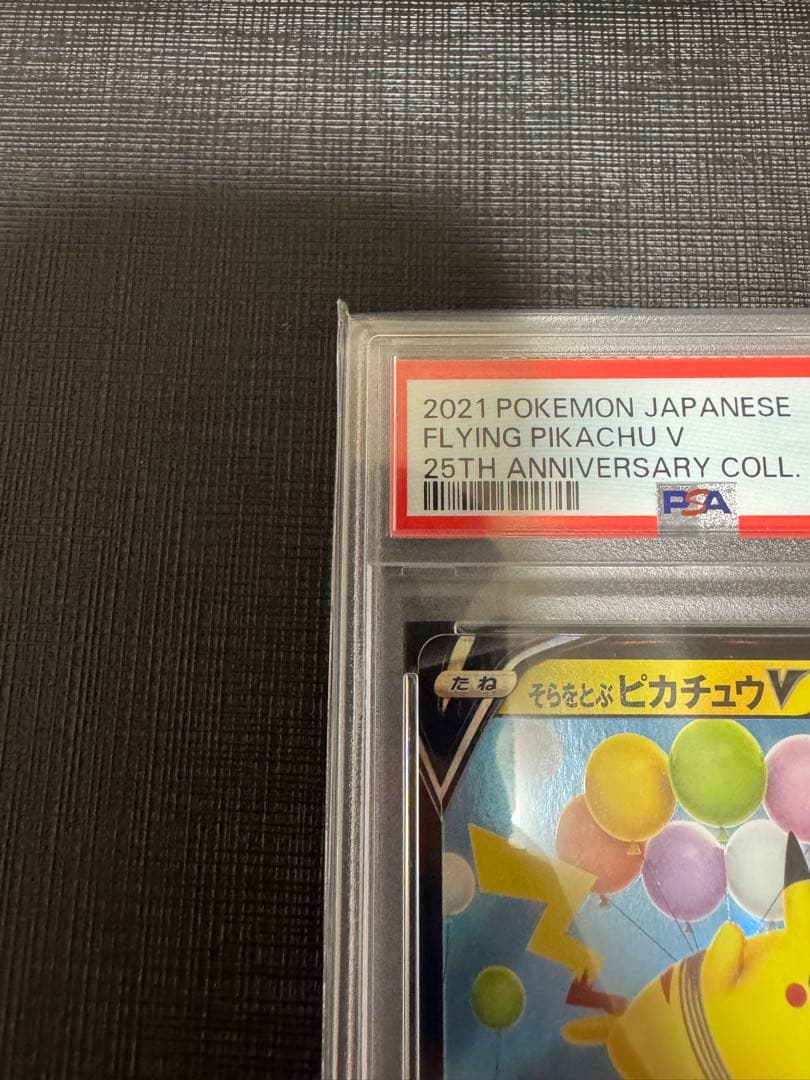 【2連番PSA10】そらをとぶピカチュウV VMAX RR RRR 25th