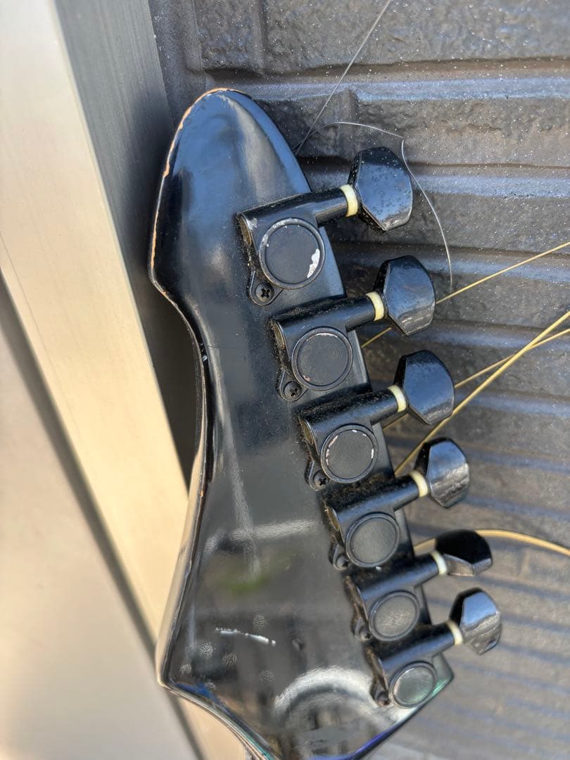 Black Dog by Aria pro Ⅱ