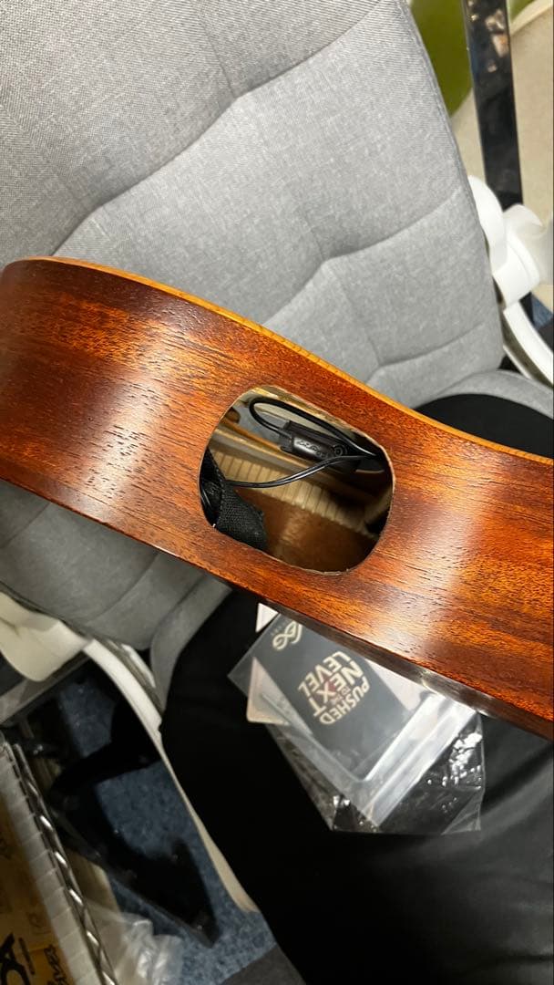 Lag Tramontane TN170ACE エレガットギター