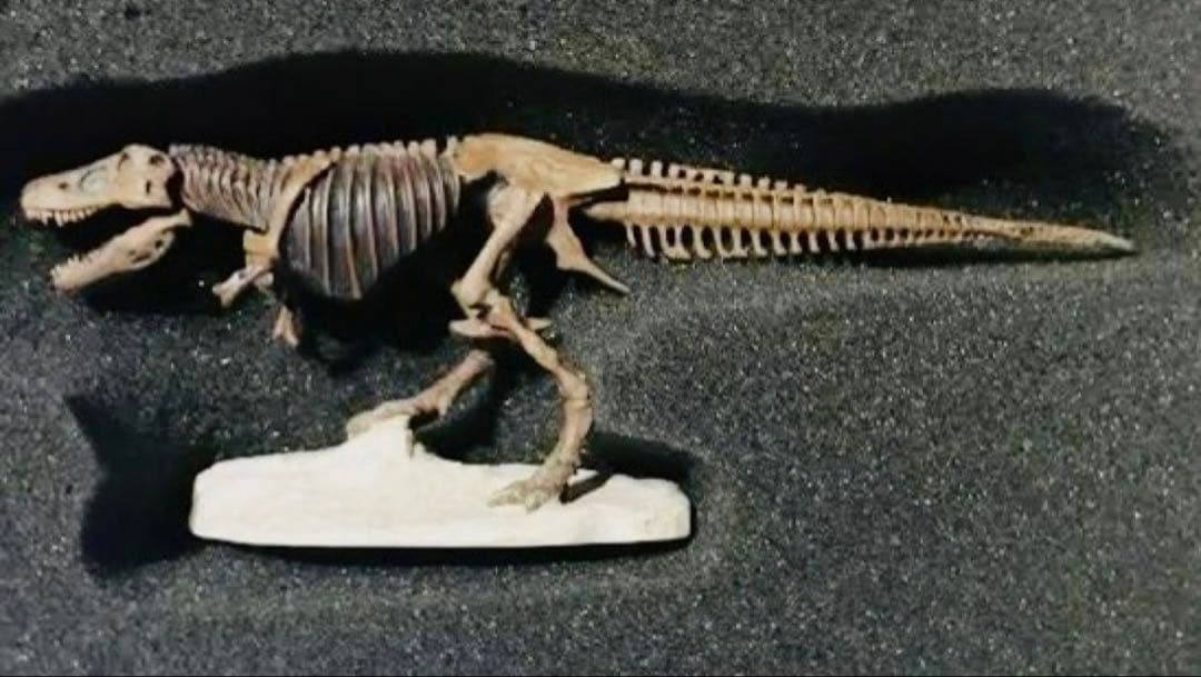 【限定3体セット】海洋堂スーパーサウルス/SUE/チュアンジェサウルス恐竜博公式