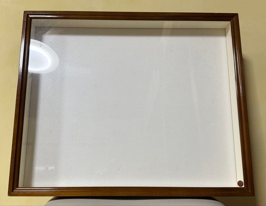 ●バードウィング製　高級ドイツ型標本箱　ＢＷ60 中古　UVガラス仕様