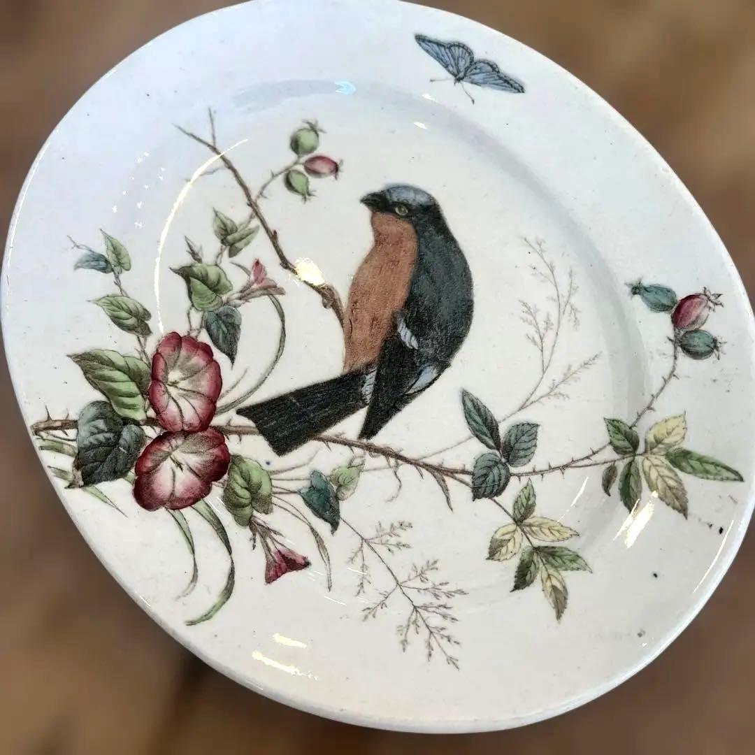 希少アンティーク　ジョン・モードロック・ロビン・プレート1800年代後半