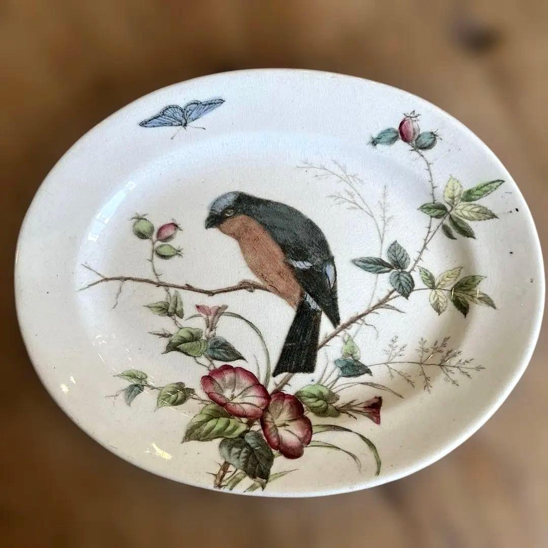 希少アンティーク　ジョン・モードロック・ロビン・プレート1800年代後半