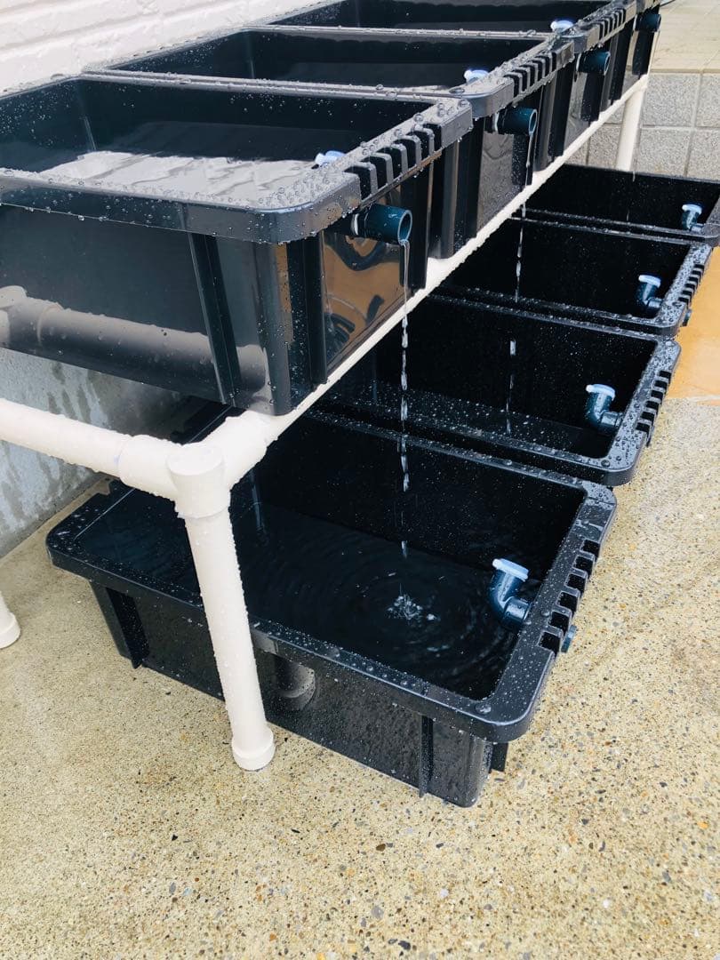 メダカ飼育ラック ブラック【接着剤付】 NVBOX13を12個置けます