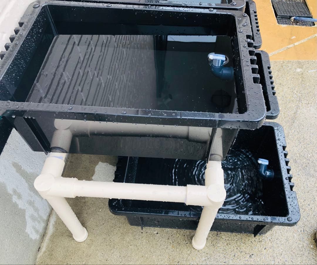 メダカ飼育ラック ブラック【接着剤付】 NVBOX13を12個置けます