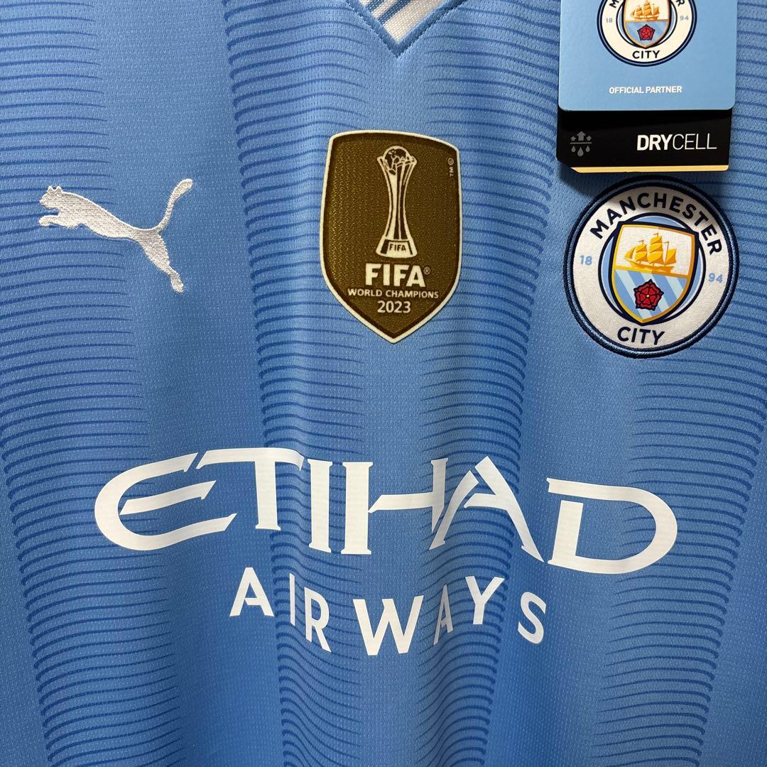 グリーリッシュ 10レプリカ