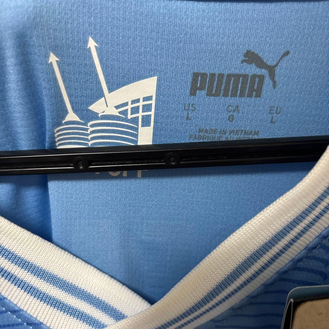 グリーリッシュ 10レプリカ