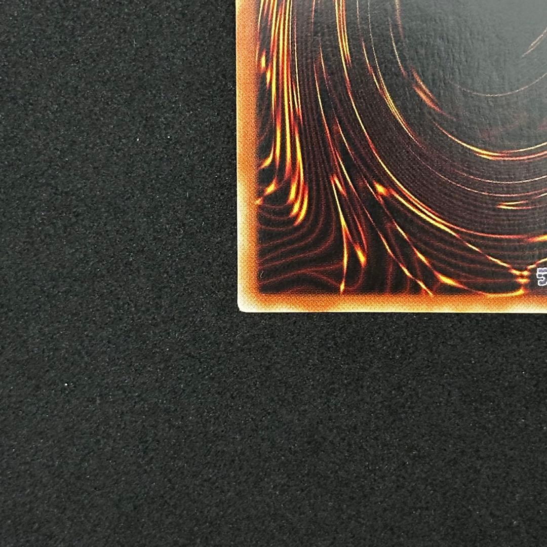 遊戯王 清冽の水霊使いエリア 20th