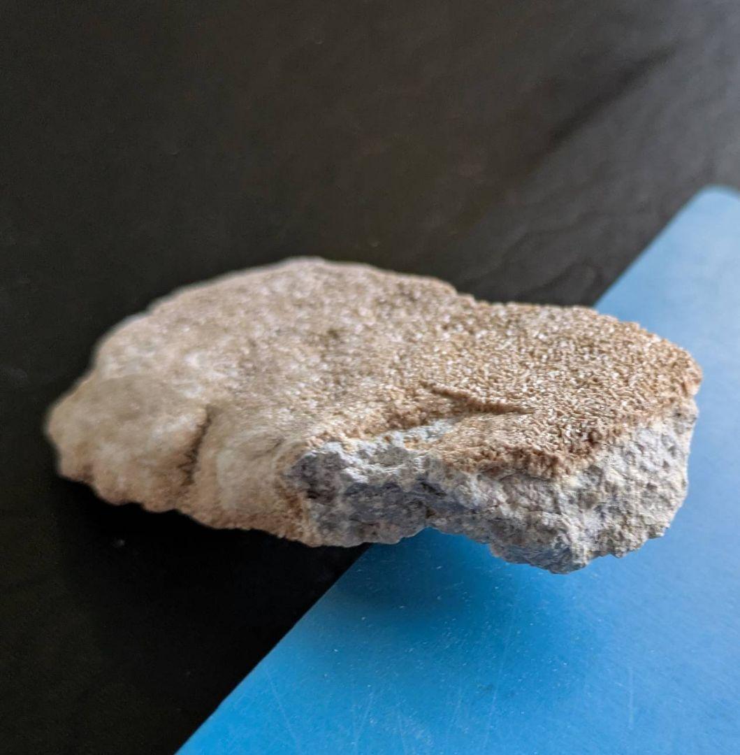 ★秋田発『北投石』５２グラム 100%本物!! 秋田玉川温泉産✨年末年始セール✨