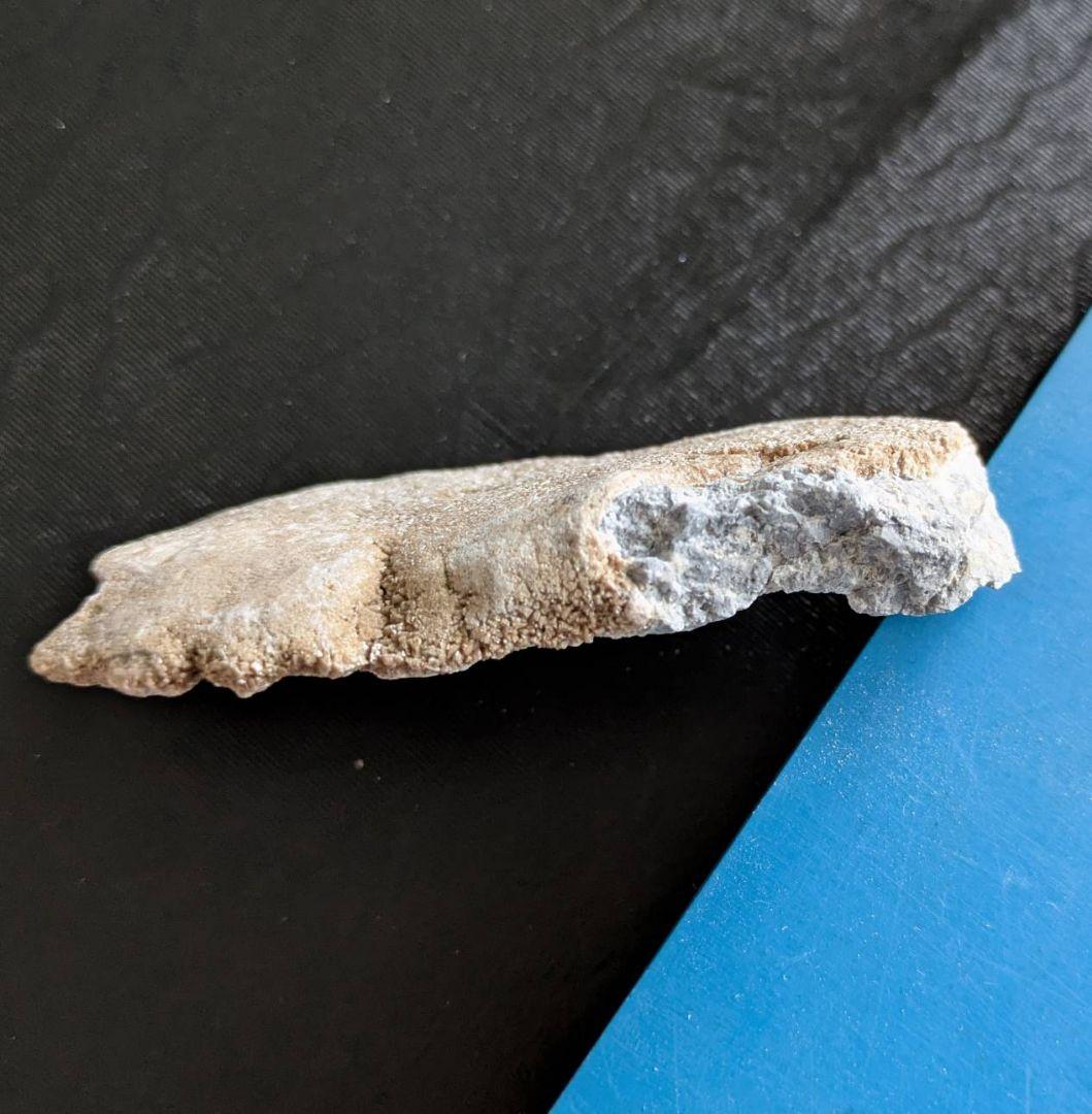 ★秋田発『北投石』５２グラム 100%本物!! 秋田玉川温泉産✨年末年始セール✨