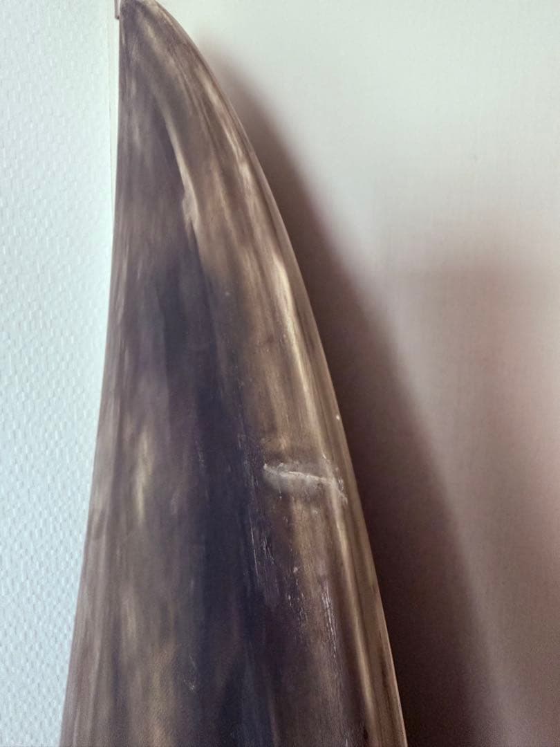 Three Weather 5’8SHELTER 40.0L楽しめるボード