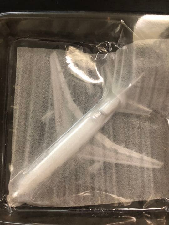 TRISTAR 500 PAN AM N501PA ドラゴンポイント景品