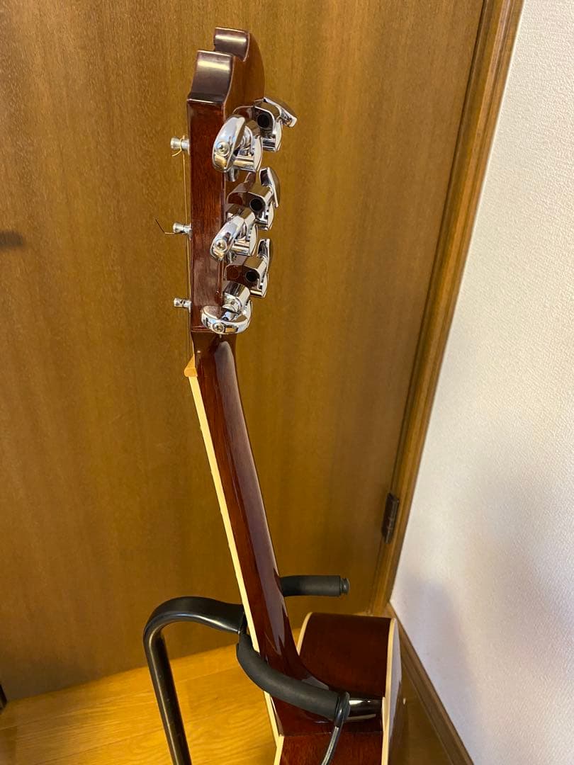 James JF-350WBアコースティックギター