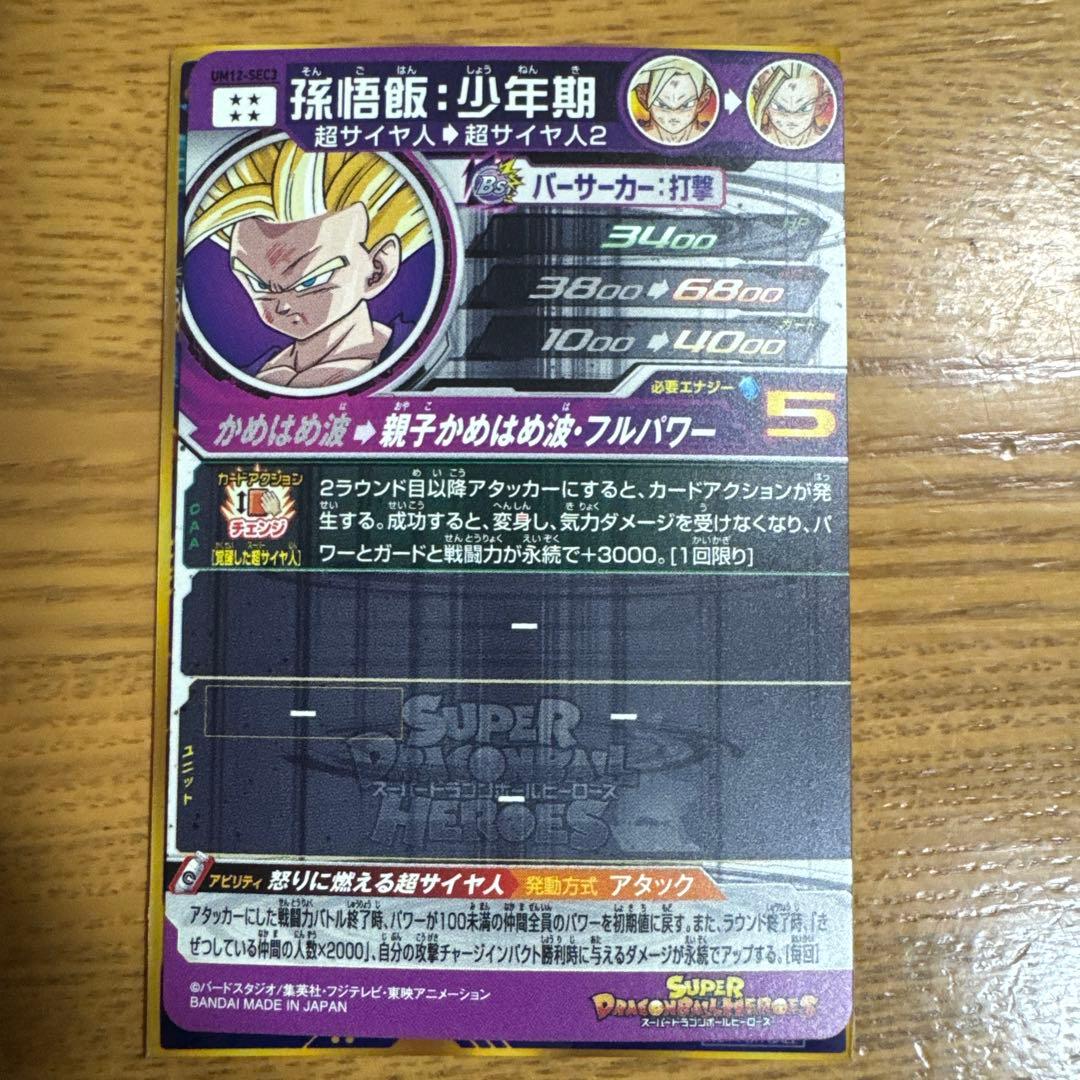 孫悟飯少年期　UM12 SEC3