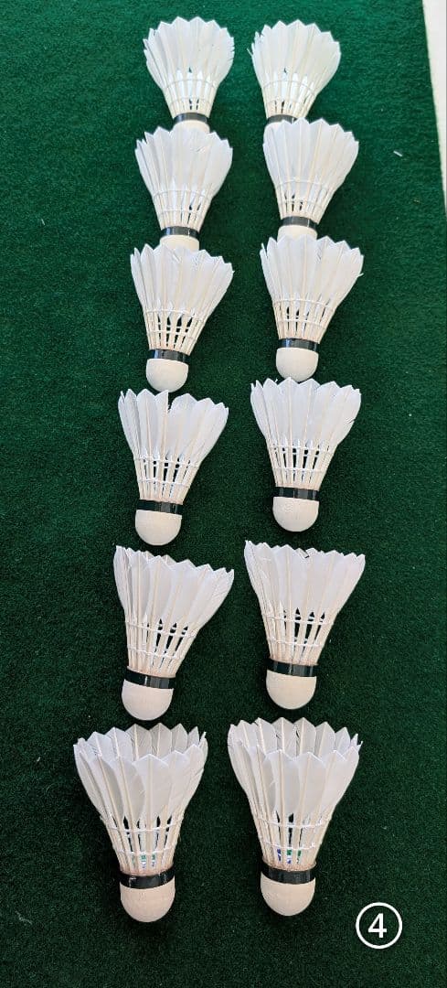 NEW OFFICIAL F4 10ダース