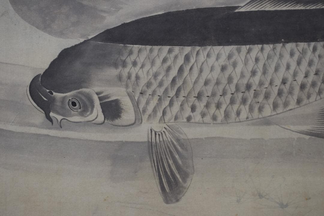 円山応挙/圓山応挙/鯉之図/掛軸☆宝船☆Y-486　JM