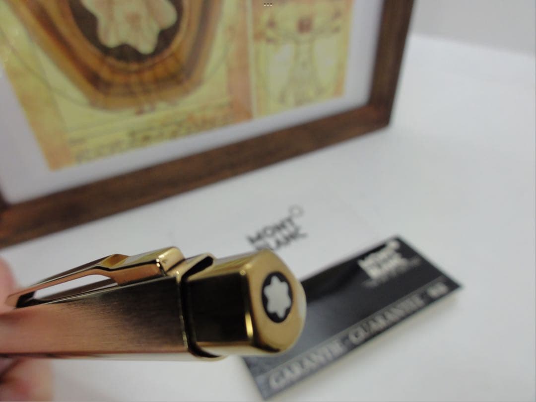 モンブラン⭐️レオナルド総金張りチタンTitaniumNo20280⭐️人間工学形状