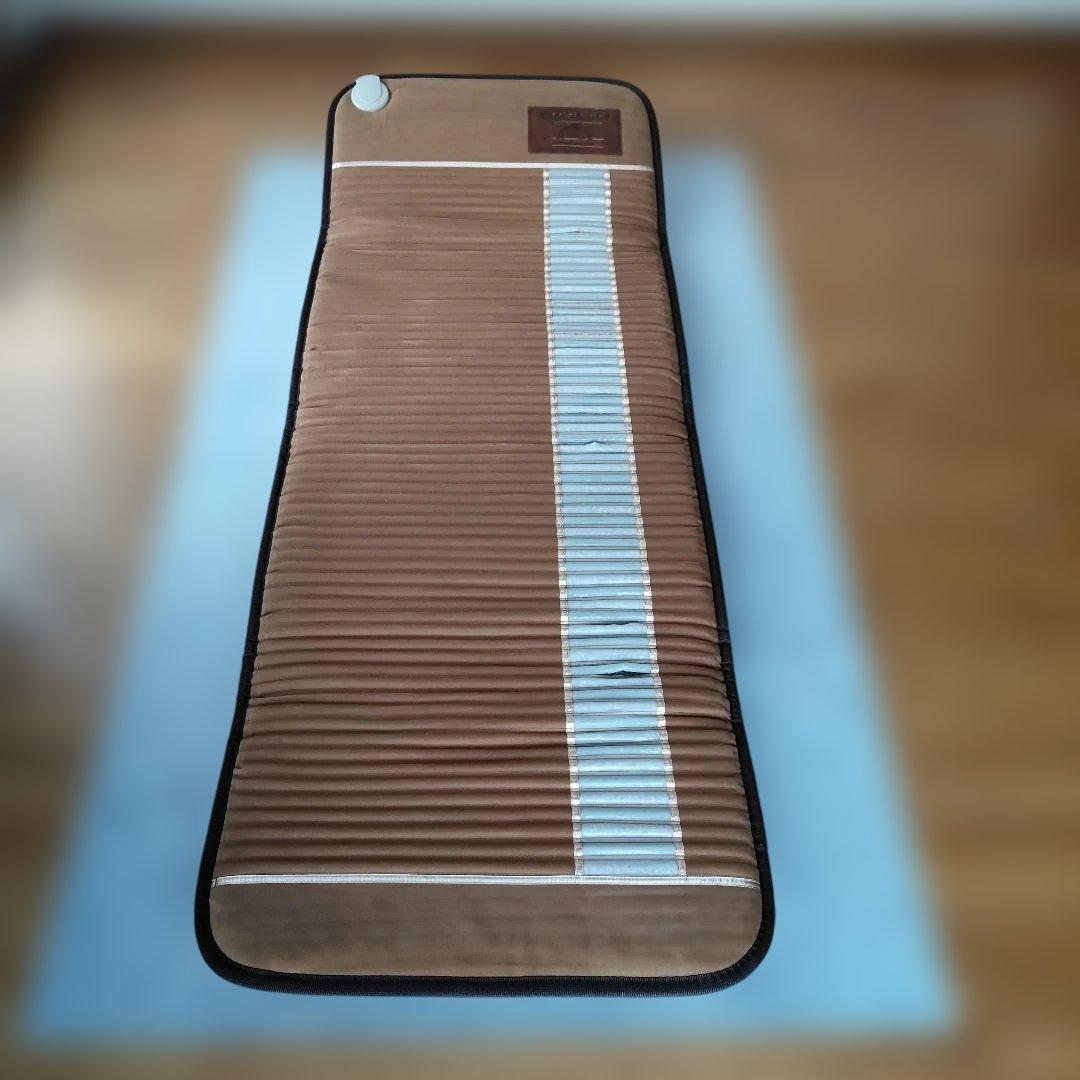 【ジャンク品】リッチウェイ バイオマット Richway BIO-MAT