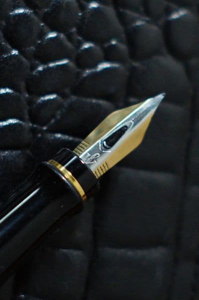 Waterman　 ウオーターマン　エキスパート　エッセンシャル　万年筆　黒