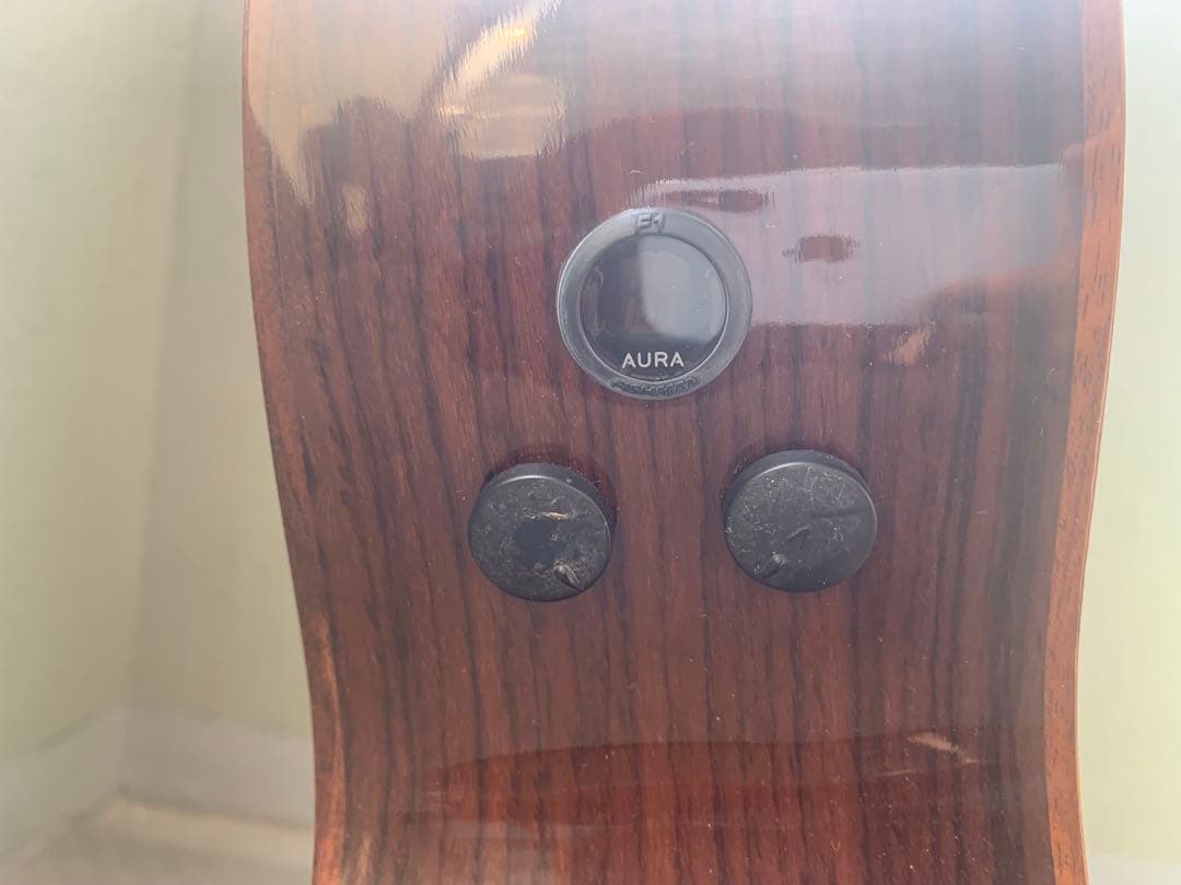 【ネコにゃん】Martin GPCPA1 縦ロゴ 美品