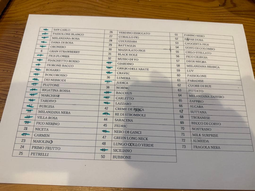 ニッキー30種セット！ 本日10時剪定！明日まで！イチジク 穂木