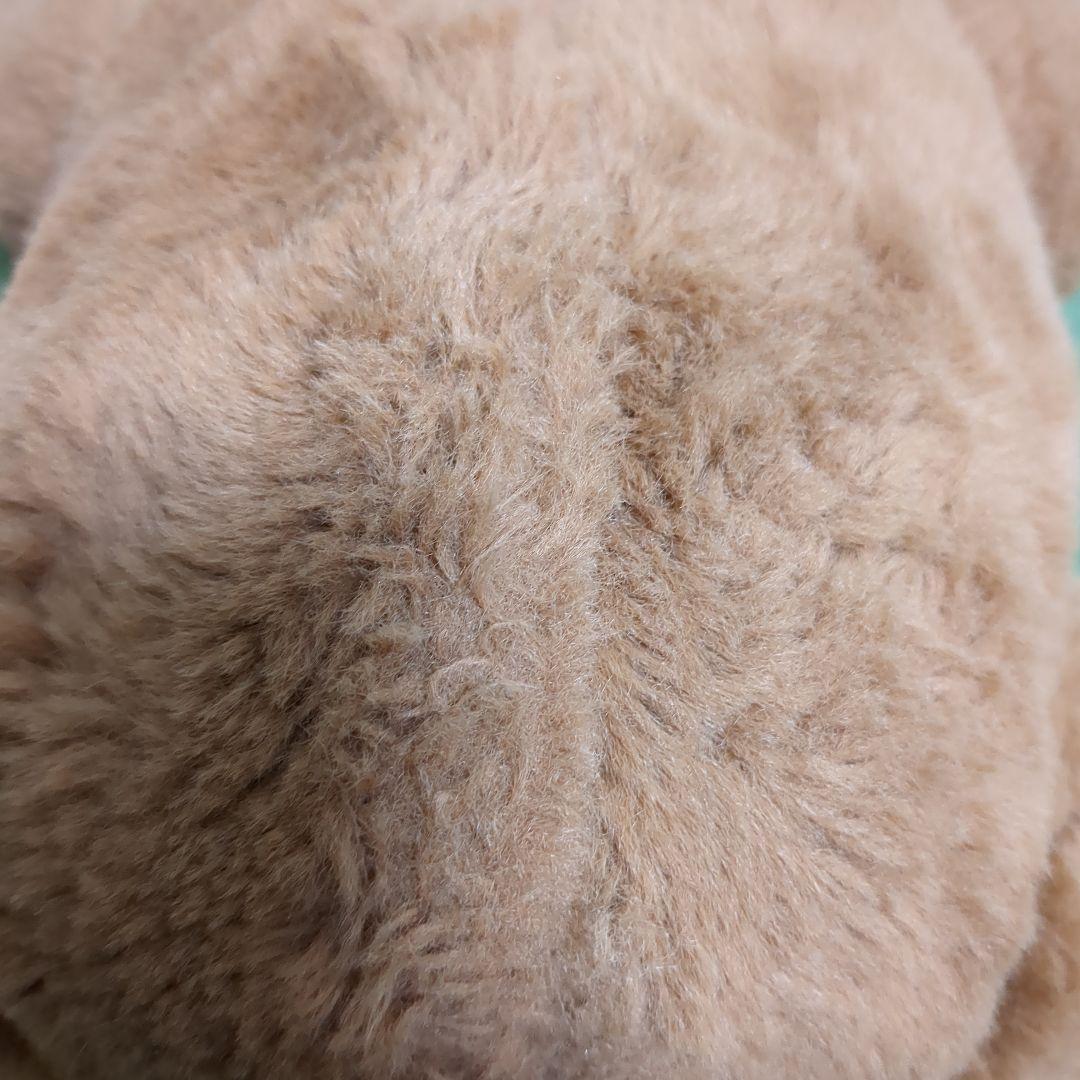 ファーリアル　こぐまのカビー