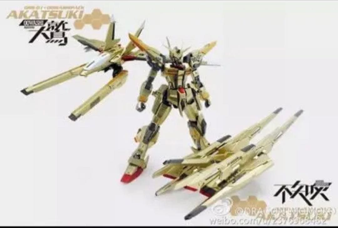 海外製　MG1/100アカツキ