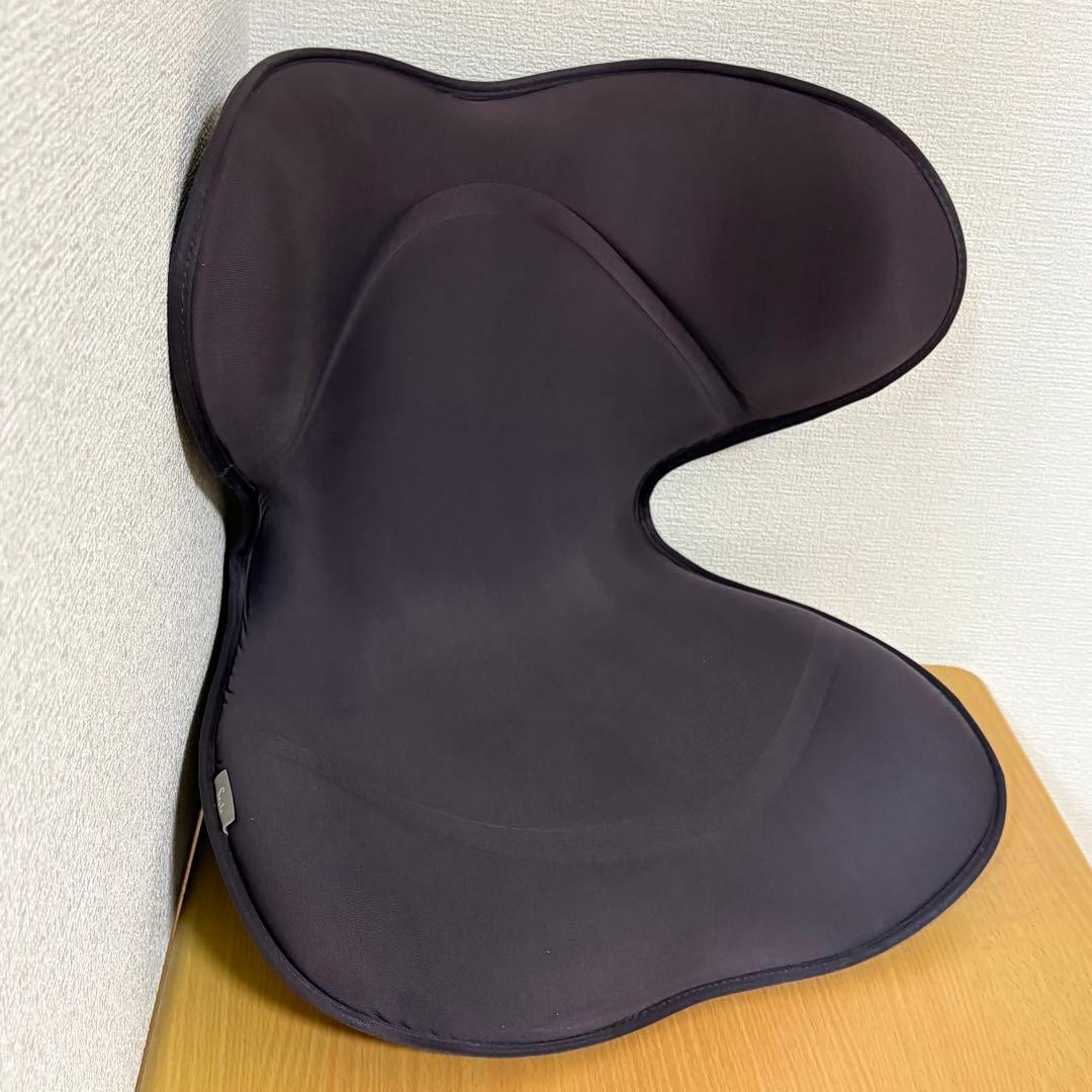 MTG StyIe SMART スタイル スマート 骨盤 姿勢 矯正 ブラウン