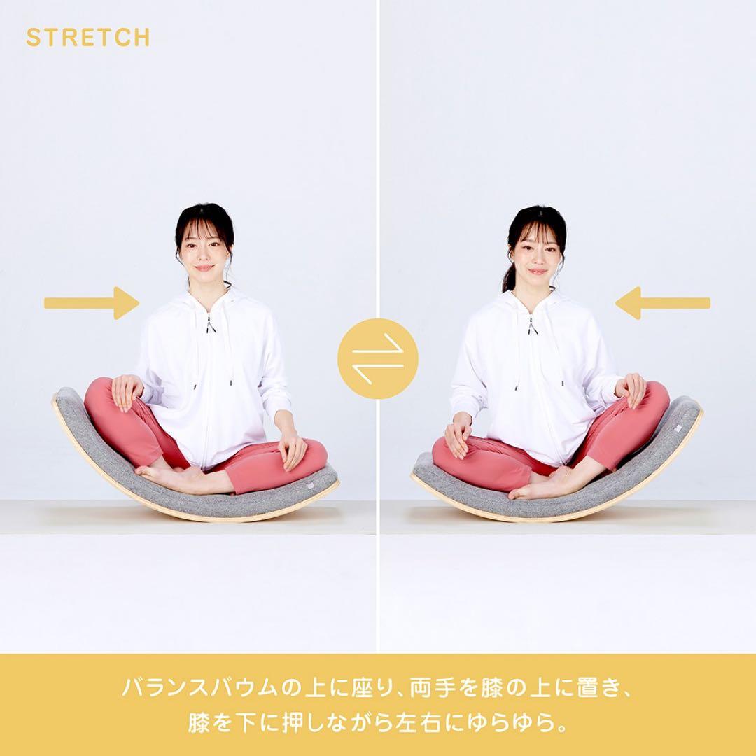 MIZUNO ミズノ バランスバウム バランスボード 宅トレ